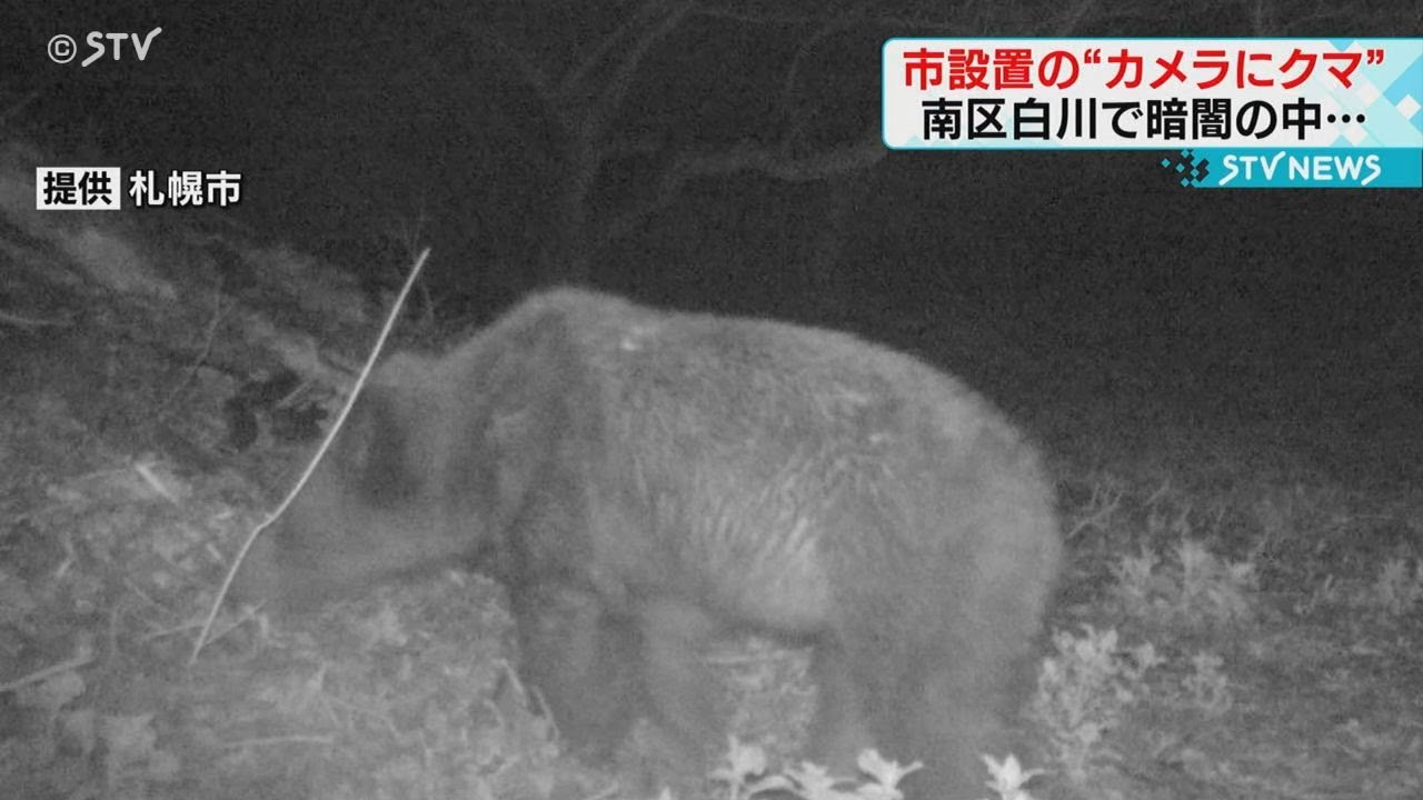 体長約1mのクマ”その姿がカメラに…目撃相次ぐ札幌市南区 - YouTube