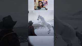 Arabian Chilgozaaa