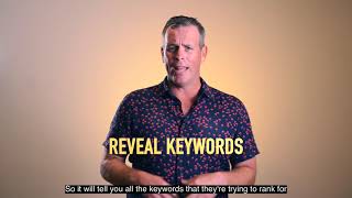 Famous Reverse Engineer your competitors Net Worth