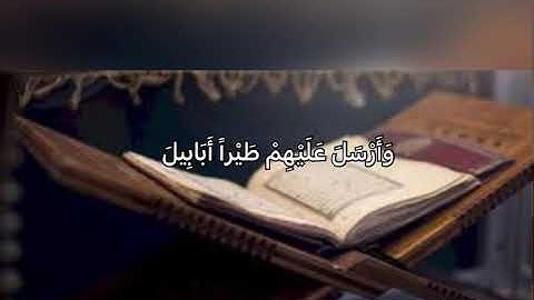 سورة الفيل (ماهر المعيقلي)