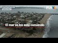 Video de Coatzacoalcos