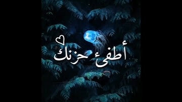 حالات واتس اب تلاوة خاشعة| للقارئ ناصر القطامي