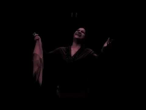 يلا نعيش في عيون الليل