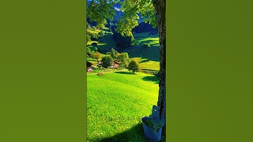 أرح قلبك ايات من سورة آل عمران The Quran