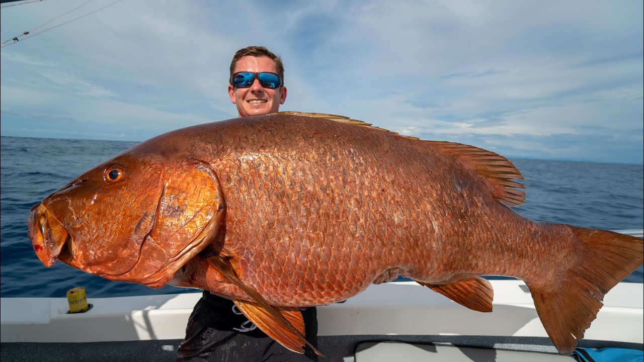 MASSIVE Mexican Cubera Snapper Catch Clean Cook