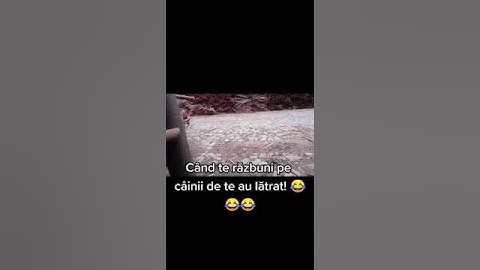 TikTok Romania#55-Am inceput sa latru la caini!!