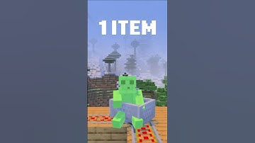 The Most Useless Item In Minecraft #minecraft  #minecraftshorts
