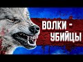 ВОЛКИ - УБИЙЦЫ #2 ➤ DAYS GONE ПРОХОЖДЕНИЕ. ВЫЖИВАНИЕ 2