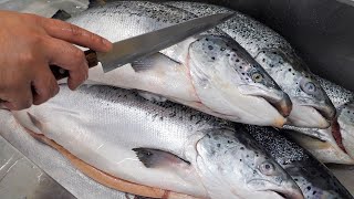 Salmon Cutting Skills, How To Fillet a Whole Salmon / 鮭魚切割技能, 如何切割鮭魚製作生魚片 - Korean Street Food