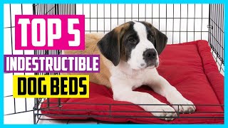 ✅The 5 Best Indestructible Dog Beds 2024 Reviews