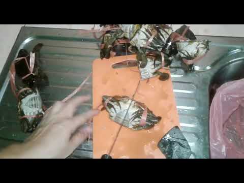 Cara Mudah Memotong Dan Membersihkan Kepiting Dijamin Cara Mudah Memotong Dan Membersihkan Kepiting Dijamin