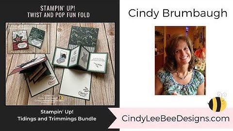 Stampin UP!  Twist and Pop Fun Fold Card