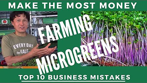 Don't Lose Profit By Making these 10 Microgreens Farm Business Mistakes