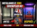 Proyecto ShrimpLab MX | Episodio 01 | INSTALACIÓN DEL VINIL en las peceras! 🔥🦐