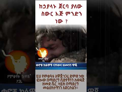 ስውሩ እጅ በአገራችን ላይ ያደባው ሰራ ወይስ አልሰራም እንየው