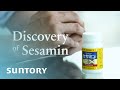 Discovery of sesamin