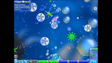 First Video Ever!!!| Let