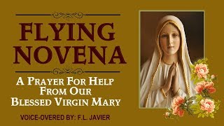 FLYING NOVENA - A PRAYER FOR HELP FROM OUR BLESSED VIRGIN MARY screenshot 4