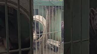 Zoológico De Canindé