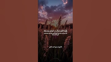 القارئ سعود الفایز #المصحف #اكسبلور #الرحمن #لايك #يصلك #دويتو #البرزخ #duet #القزابري #تيك_توك