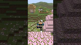 The RAREST Thing in Minecraft #minecraft