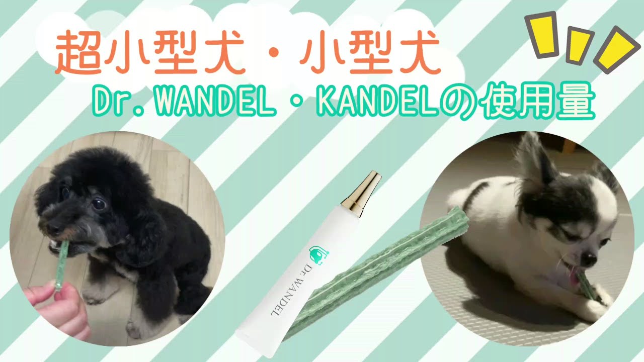 Dr.WANDEL、KANDEL