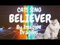 Cats Sing Believer by Imagine Dragons | Cats Singing Song