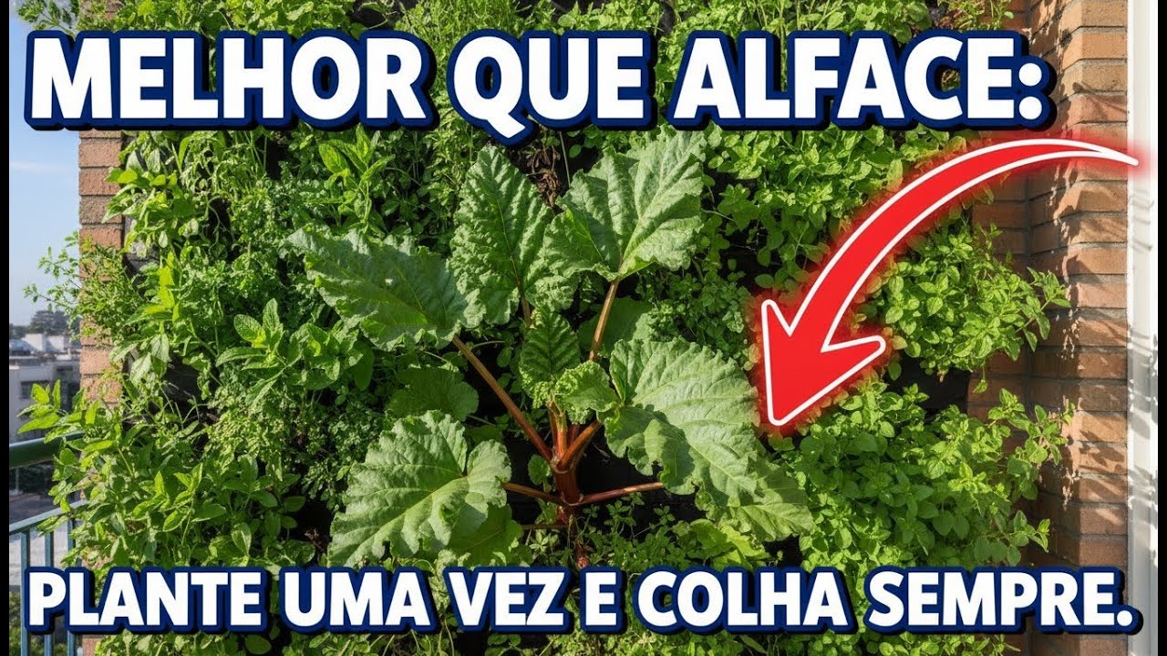 Melhor Que Alface: Cresce o Ano Todo e RebrotA Sem Parar — Por Que Quase Ninguém Planta?