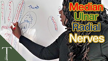 Median, Ulnar, Radial Nerve Roots And Injuries Of Hand | How To Remember!