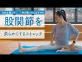 【体が硬い人向け】1日5分で股関節を柔らかくするストレッチ
