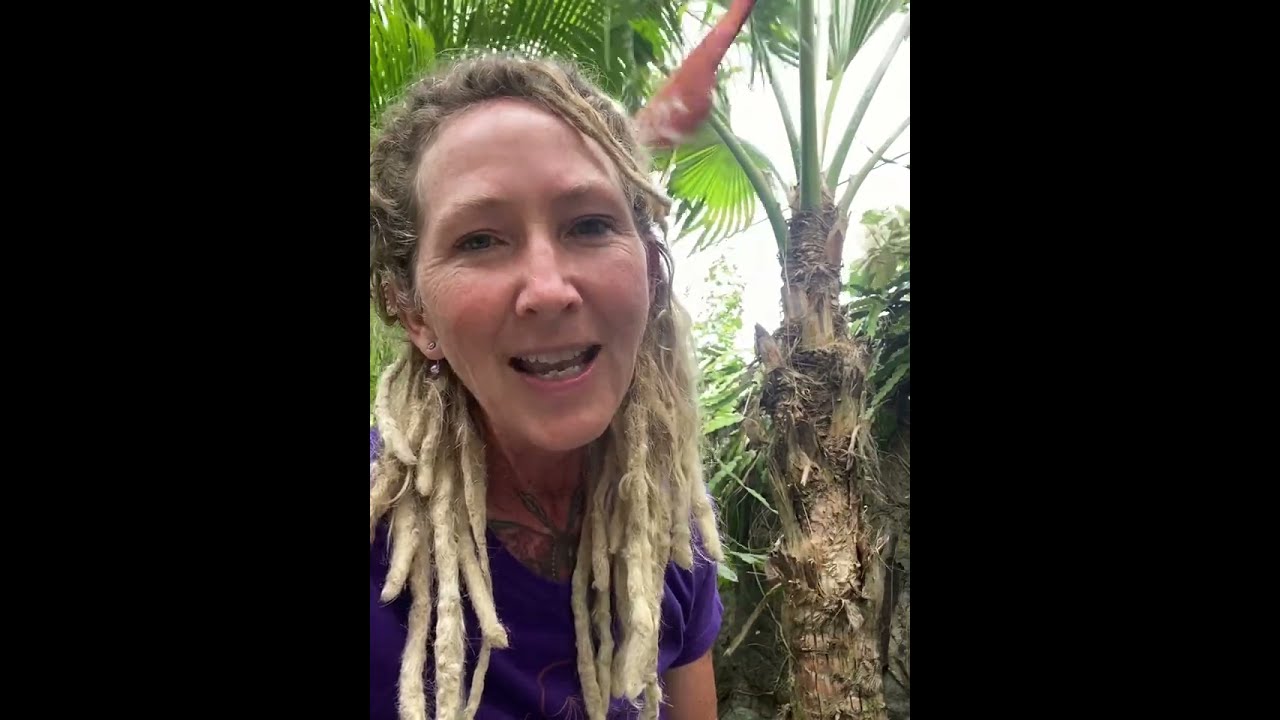 Driftwood Sea glass Mobile Creation Process