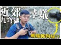 螞蟻吃大便!?｜近郊尋蟻-九穹湖｜新竹新埔【臺灣蟻窟】