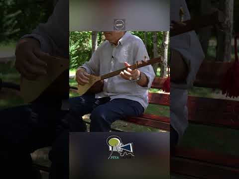 THE END OF YOUR LIFE