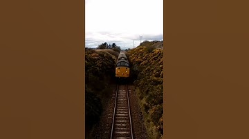 Class 37 thrash and tones