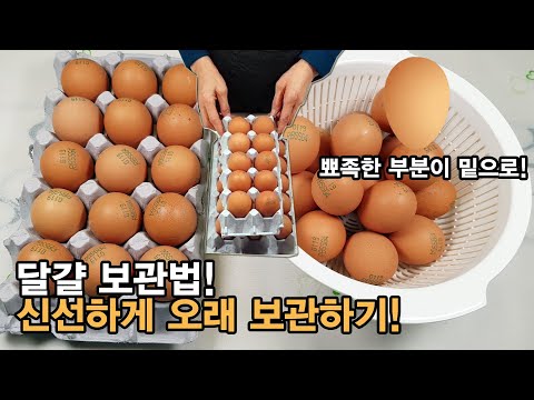 달걀 보관법 - 계란 보관 방법 ! 신선하고 오래 보관하는 간단한 방법. How to Store Eggs.[백길월의 한식요리]