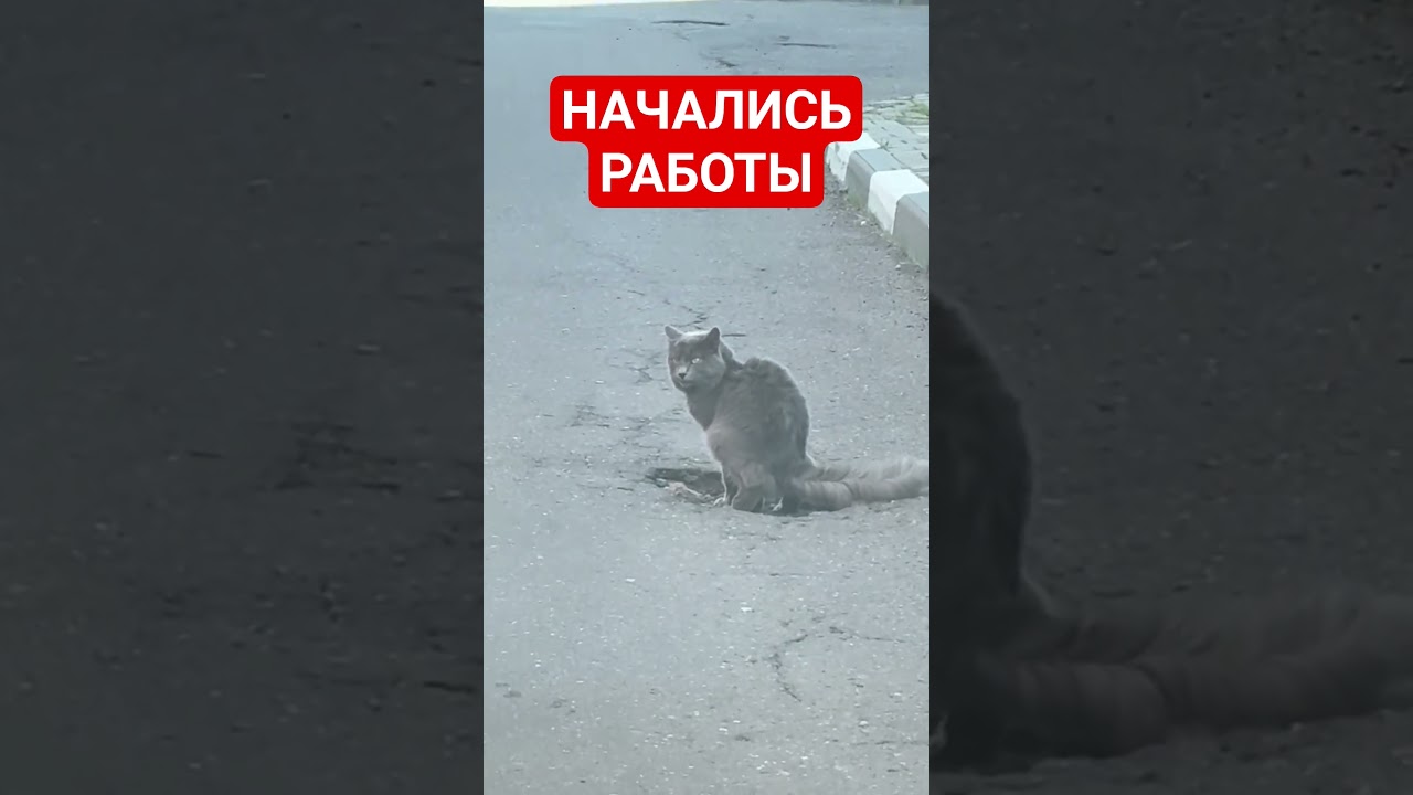 Ямочный ремонт