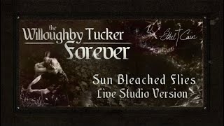 Sun Bleached Flies | The Willoughby Tucker Forever Tour Live Studio Version 