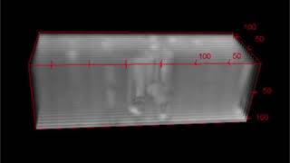 ImageJ 3D Viewer 9 27 2018 12 33 56 PM median filter