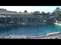 Believe Song &quot;Testimony&quot; before KWP - March 23, 2017 - SeaWorld San Diego