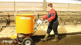 Flingk SE 250 Flingk SE 250