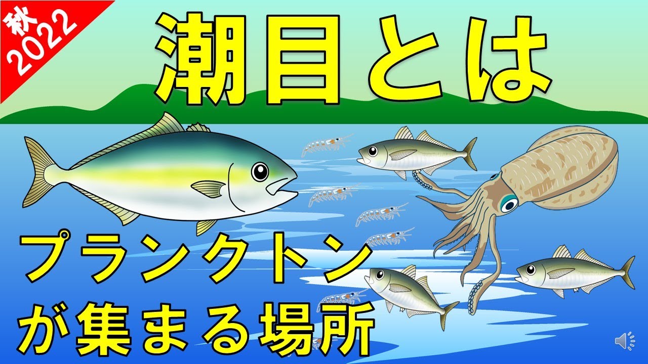 美術作品“魚の居場所”