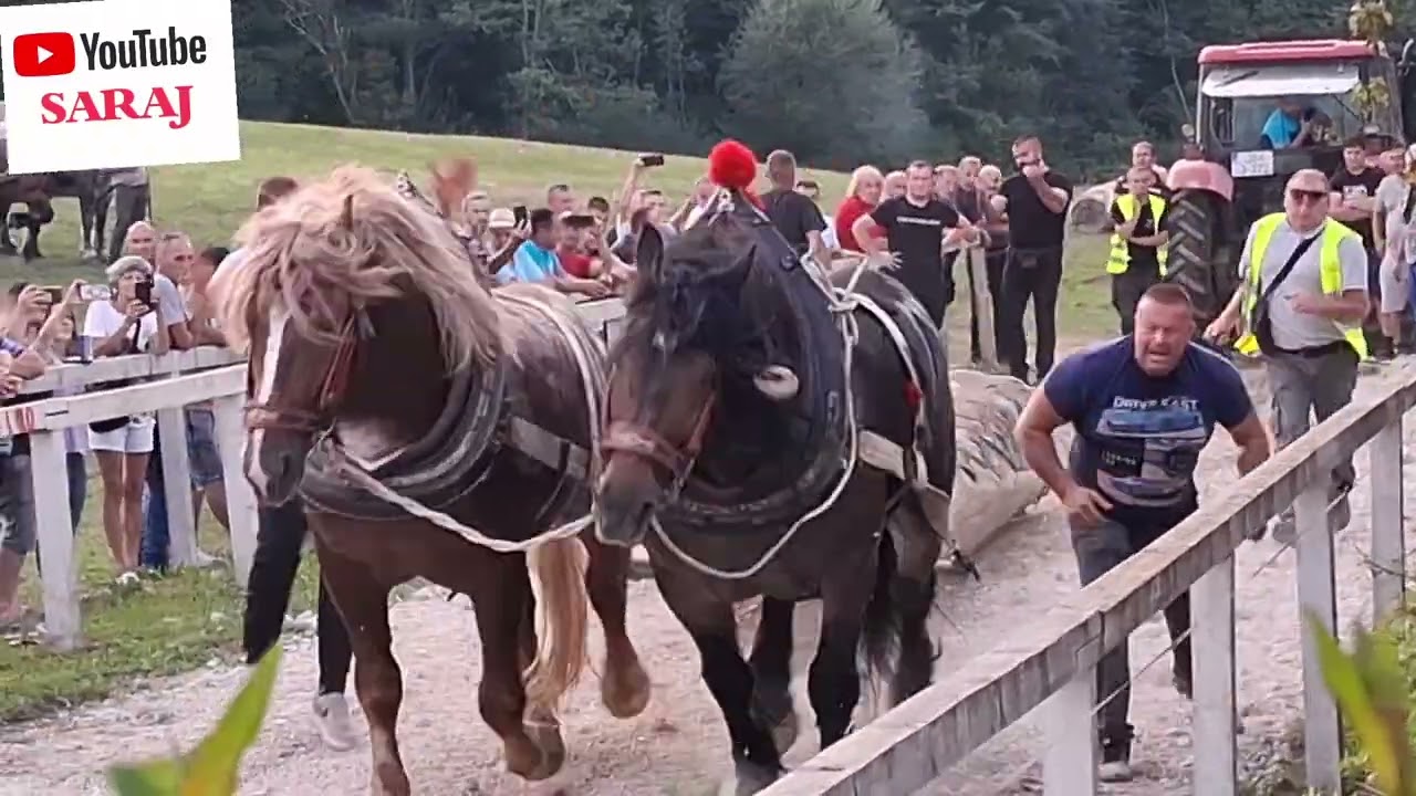 Prvomjesto teške kategorije - štraparijada Sanica