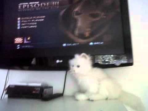 Star Wars Episode 3 Rivenge Of The Sith Cheats Ps2 Walkthrough 2