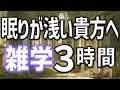 【眠れる男性の声】眠りが浅い貴方へ雑学朗読3時間【睡眠用・寝ながら聴ける】