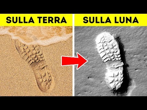 Video: Fatti Interessanti Sulle Bugie - Visualizzazione Alternativa