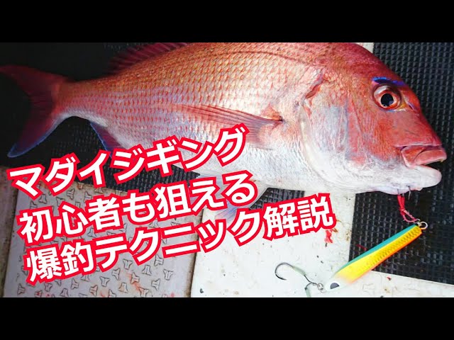 鯛シギングのすべて アクションから釣り方まで完全解説 ジャッカル Litetube