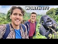 $1500 EXTREME Gorilla Trek in Uganda