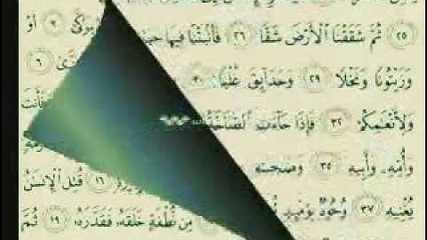 جزء عم كامل مع الكتابة ماهر المعيقلي سورة Amma part quran Maher Almuaiql surah