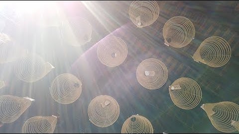 TTL tập 2: Chùa Ông - Hội quán Nghĩa An Quận 5, TPHCM