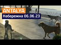 Вело-Прогулянка по набережній Коньяалти в 6:45 ранку (06.06.23) - Antalya, Turkey - 4K - Частина 1